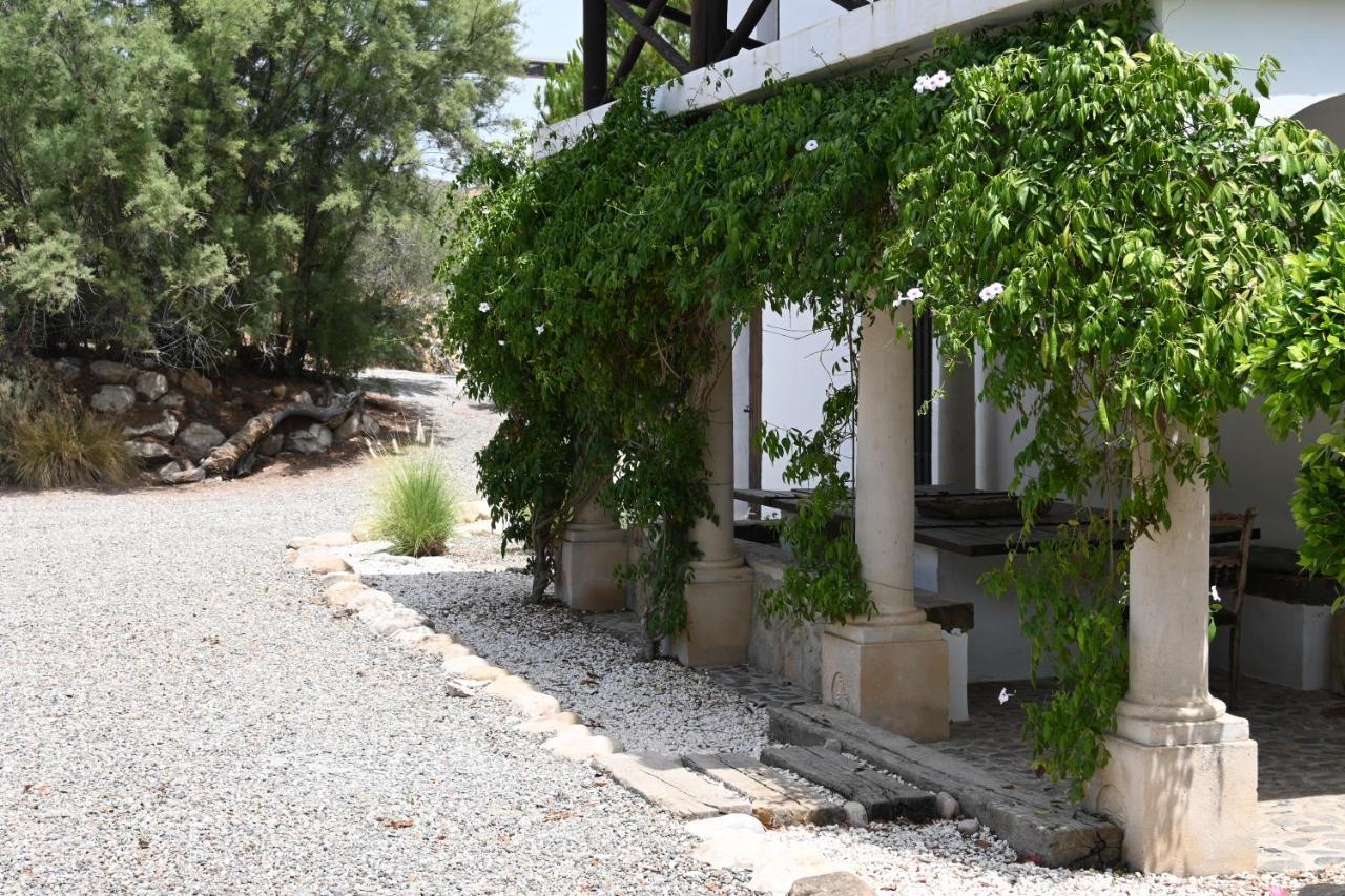 Finca Dariana Padel & Pool Guest House Alora Exterior photo