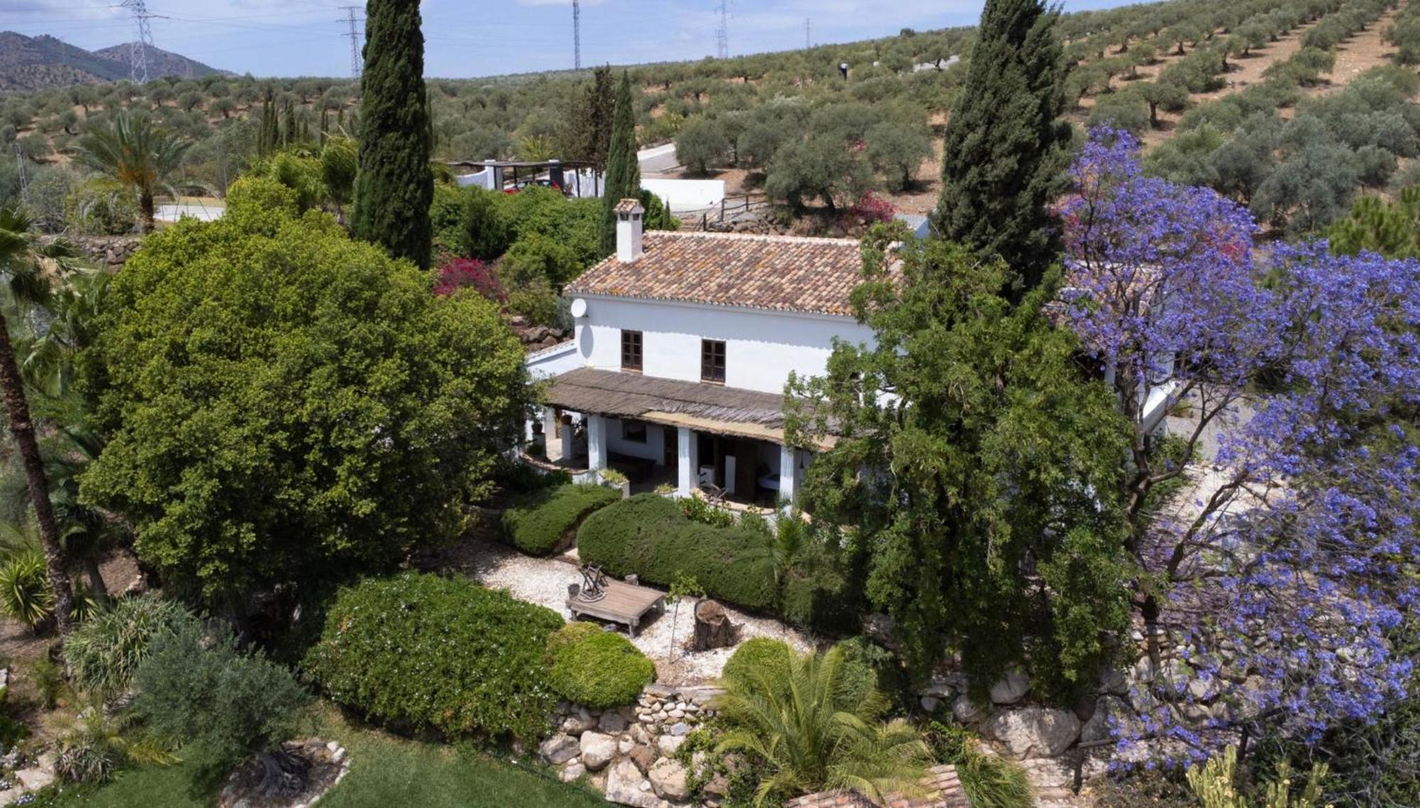 Finca Dariana Padel & Pool Guest House Alora Exterior photo